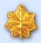 a9823.JPG (5286 bytes)