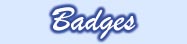 badges.JPG (4109 bytes)